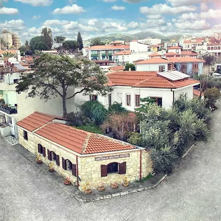 Artemis מלון 3*